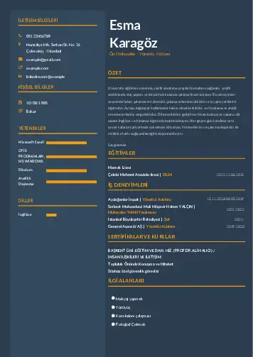 Yönetici Asistanı Cv Örnekleri cv indir